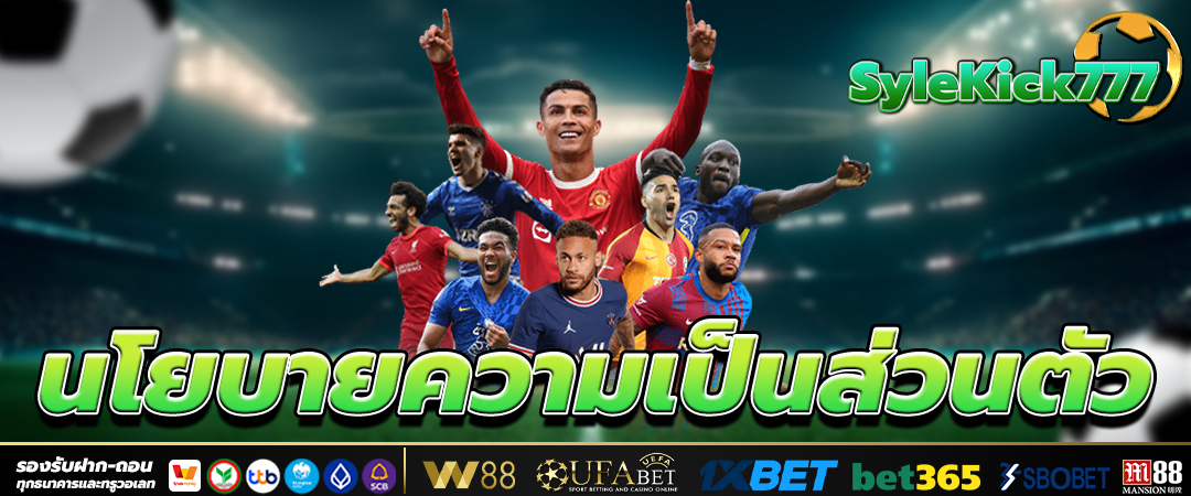 นโยบายความเป็นส่วนตัว